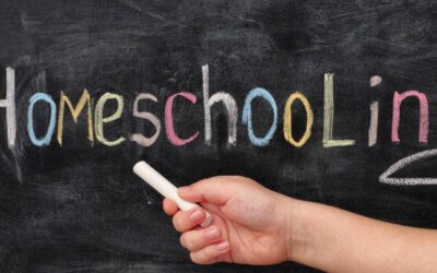 4 things you should consider before homeschooling 