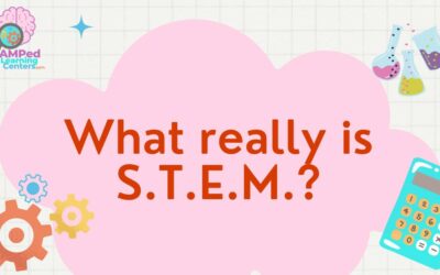 What Really is S.T.E.M. in Early Childhood?