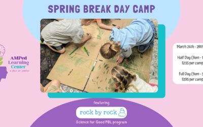 Spring Break Camp: Design a Playground for ALL!